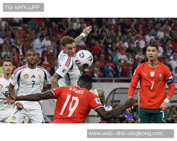 葡萄牙与墨西哥对决分析及胜负推荐策略分享