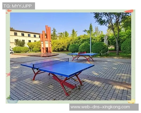 科学制定体育锻炼表助力健康生活提升身体素质与运动效果的全面指南